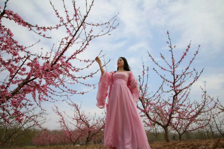 桃色缠绵_桃白百缠绵_缠缠绵绵