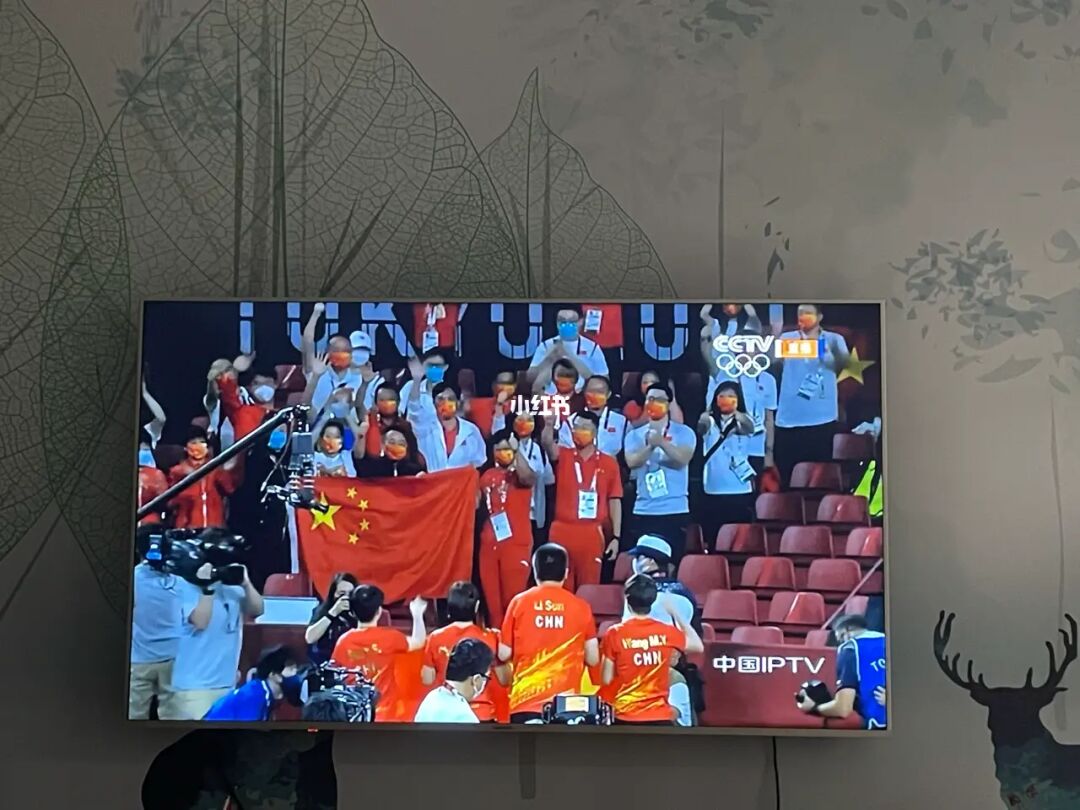 足球记app下载_球记怎么看回放_球记app下载