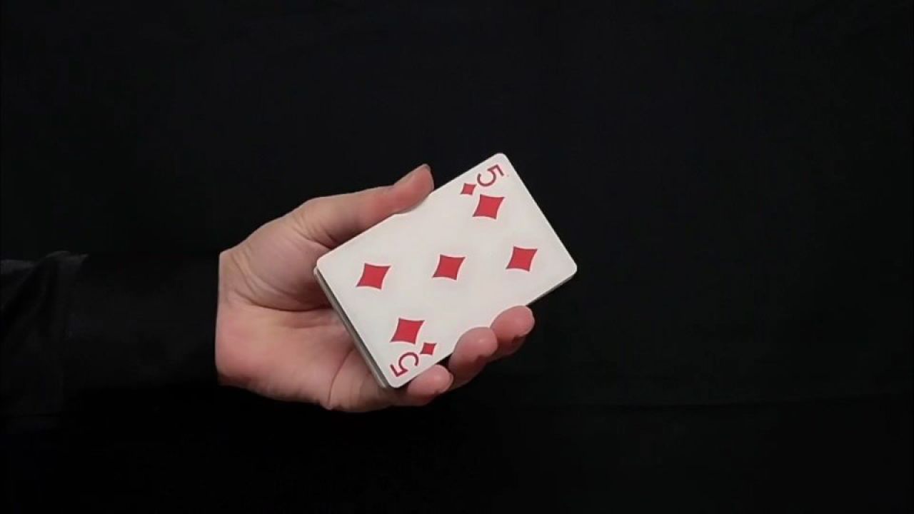 龙辉巧_龙辉巧_龙辉巧
