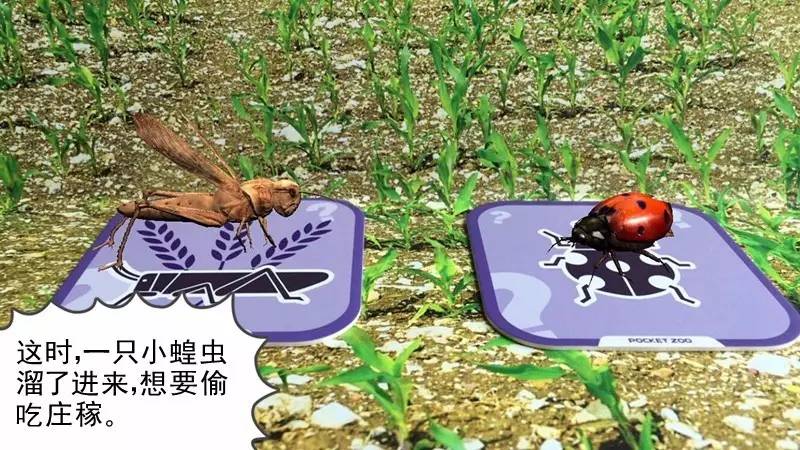 净化能解蚂蚱大招吗_英雄联盟净化能解蚂蚱大招吗_大招净化解能蚂蚱打吗