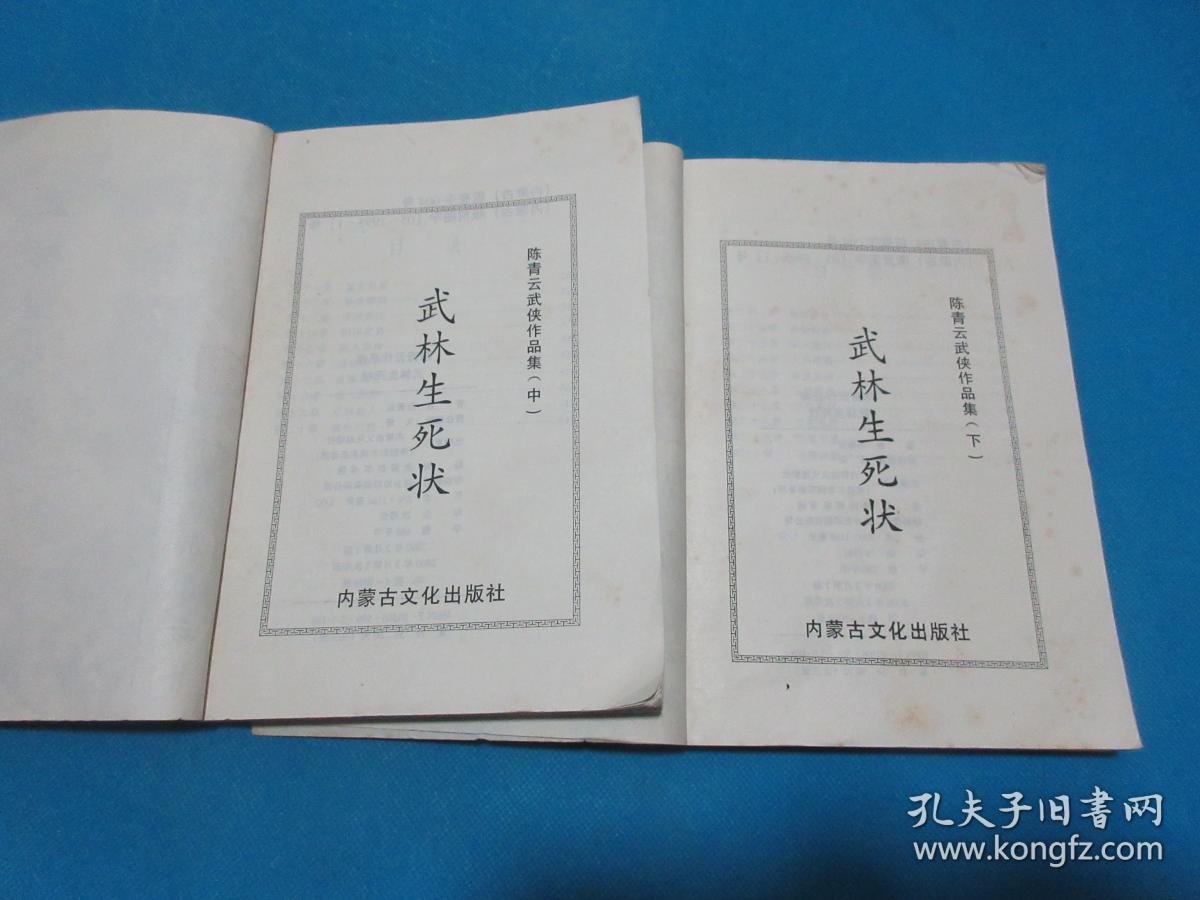 武林外外传_天外武林_武林外传天妒