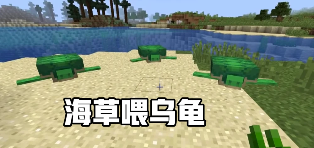 海草获得世界冠军了吗_海草世界怎么画_我的世界海草怎么获得