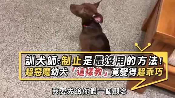 调教小游戏_调教小游戏_调教小游戏