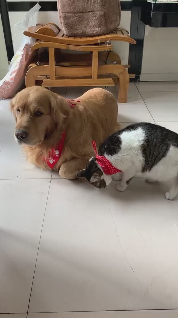 调教小游戏_调教小游戏_调教小游戏