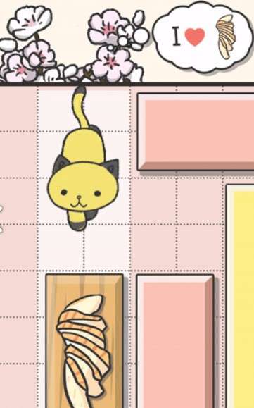 用头碰猫的头_猪遇猴则封侯猴遇猪发财路_光遇猫猫头
