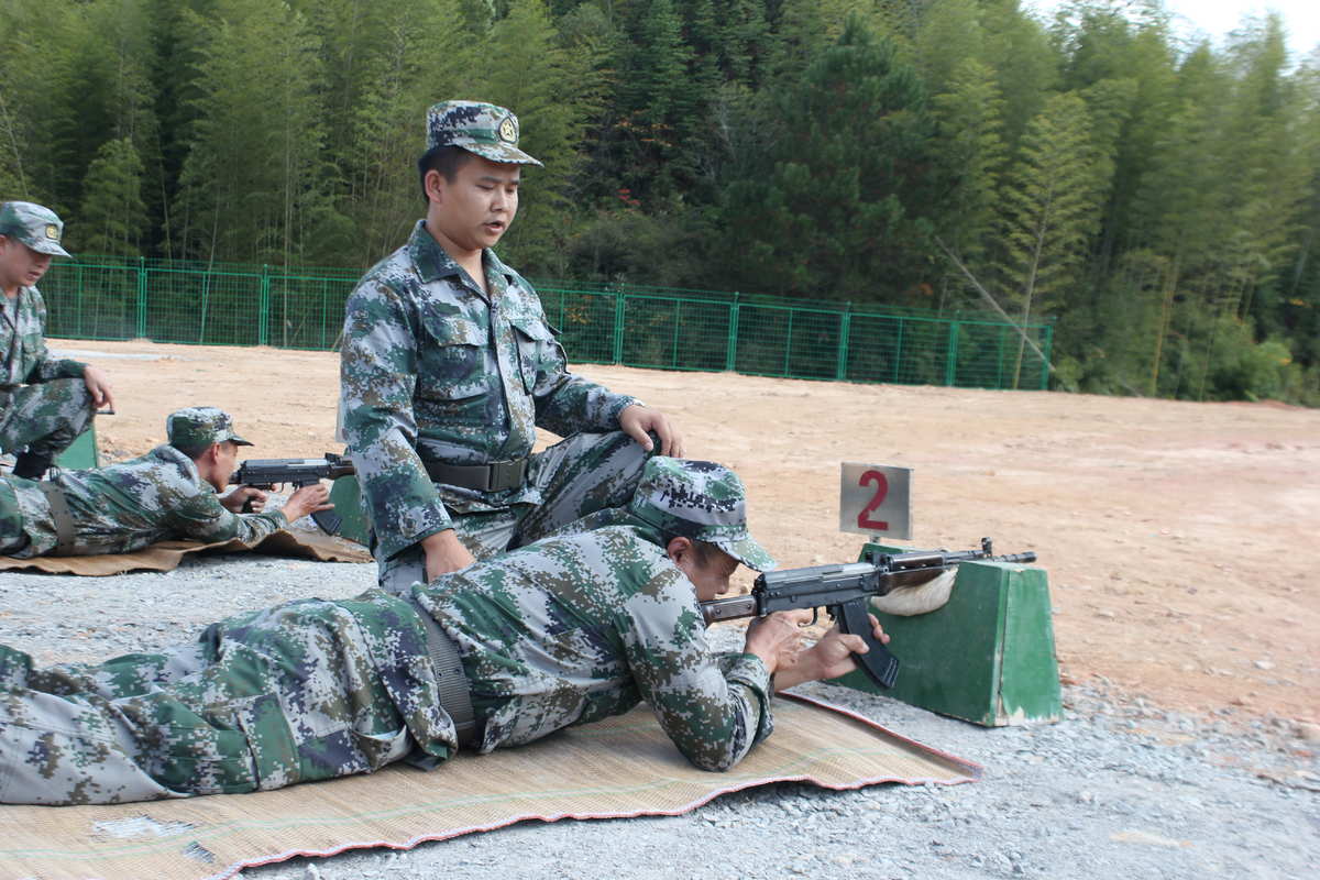 射击靶_什么的射击_射击游戏