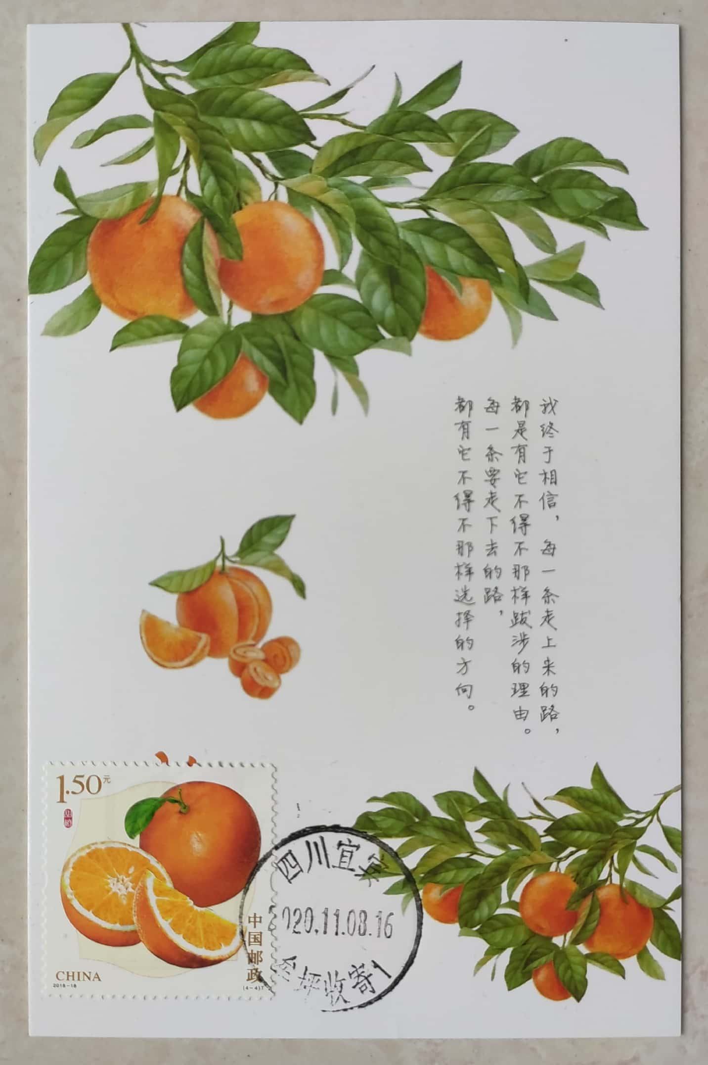 橙装胚子在拍卖行叫什么_橙装坯子拍卖行_9.0橙装胚子拍卖