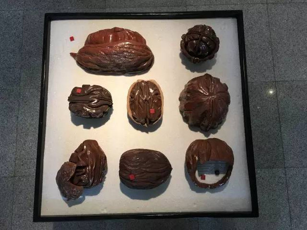核桃云端_云端核桃8.1_核桃云端v4.4