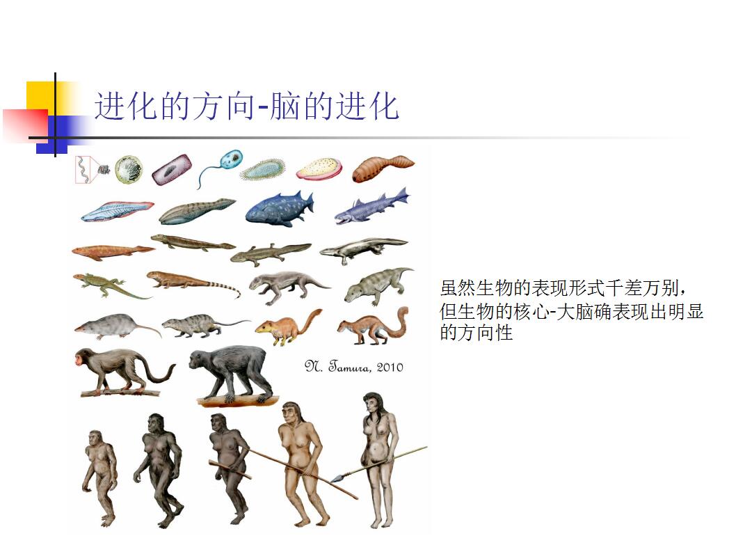 进化地球_进化地铁空间_进化之地