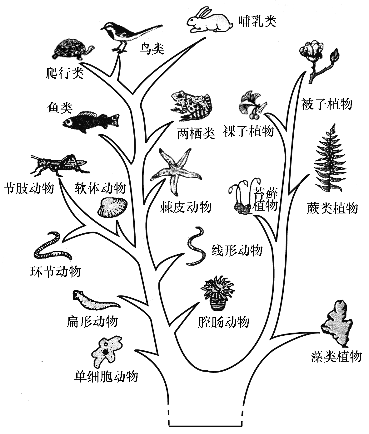 进化地铁空间_进化地球_进化之地