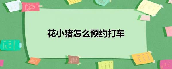 花小猪怎么投诉司机_小猪app怎么投诉_投诉小猪平台