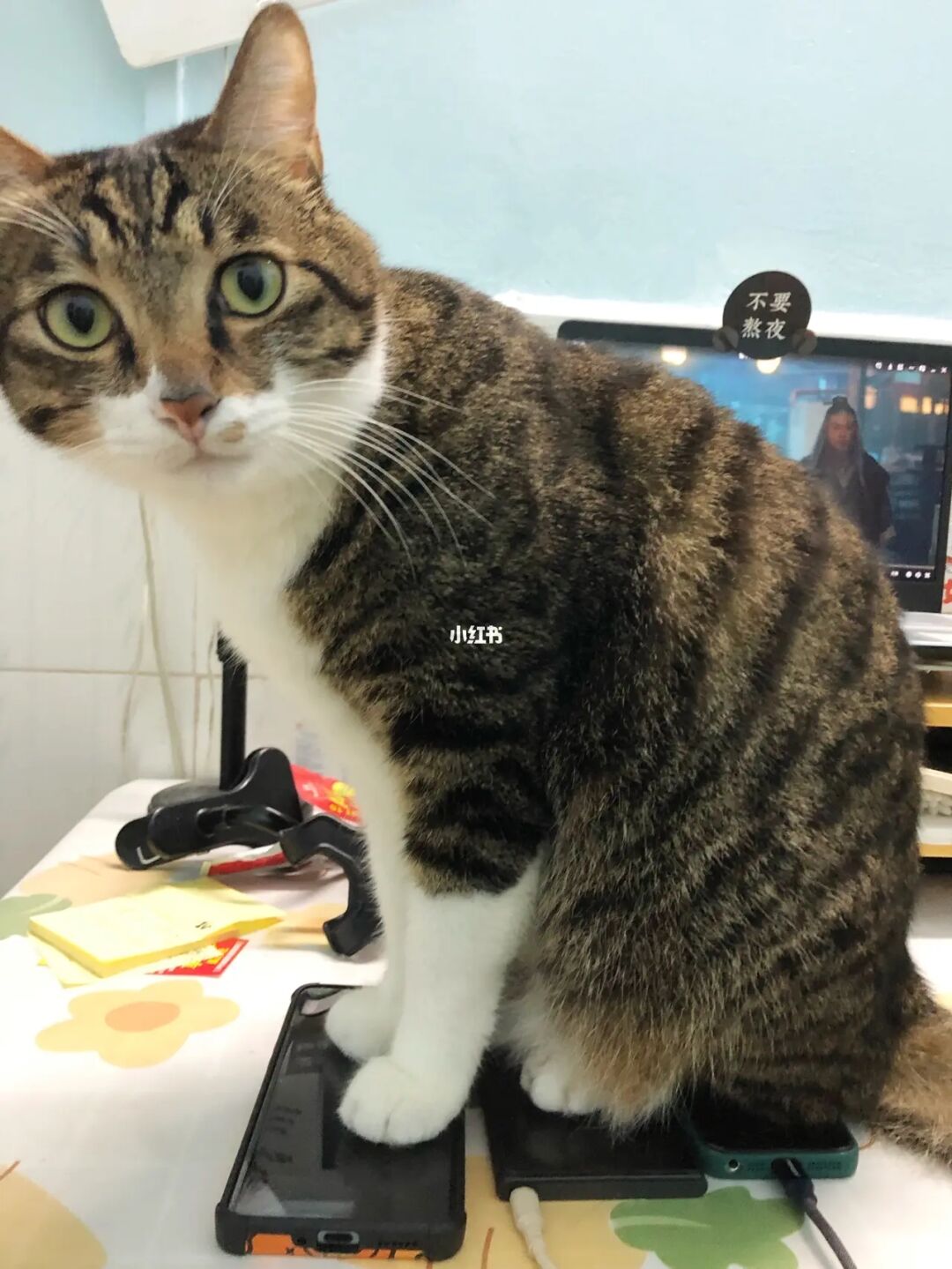 萌看_萌看真的可以赚钱吗_萌看视频