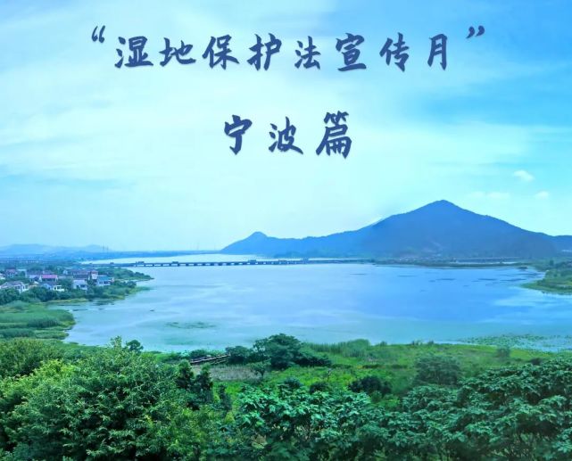 灵地思羊毛_灵地乡_地之灵在哪