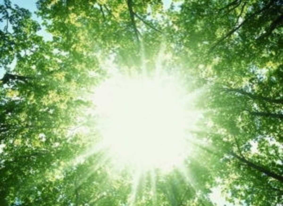 究极日月精灵分布_究极日月和日月区别_究极日月