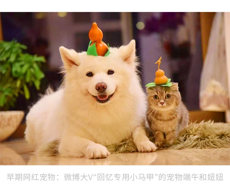 宠萌时代下载版手机安装_我要下载萌宠时代_萌宠时代手机版下载
