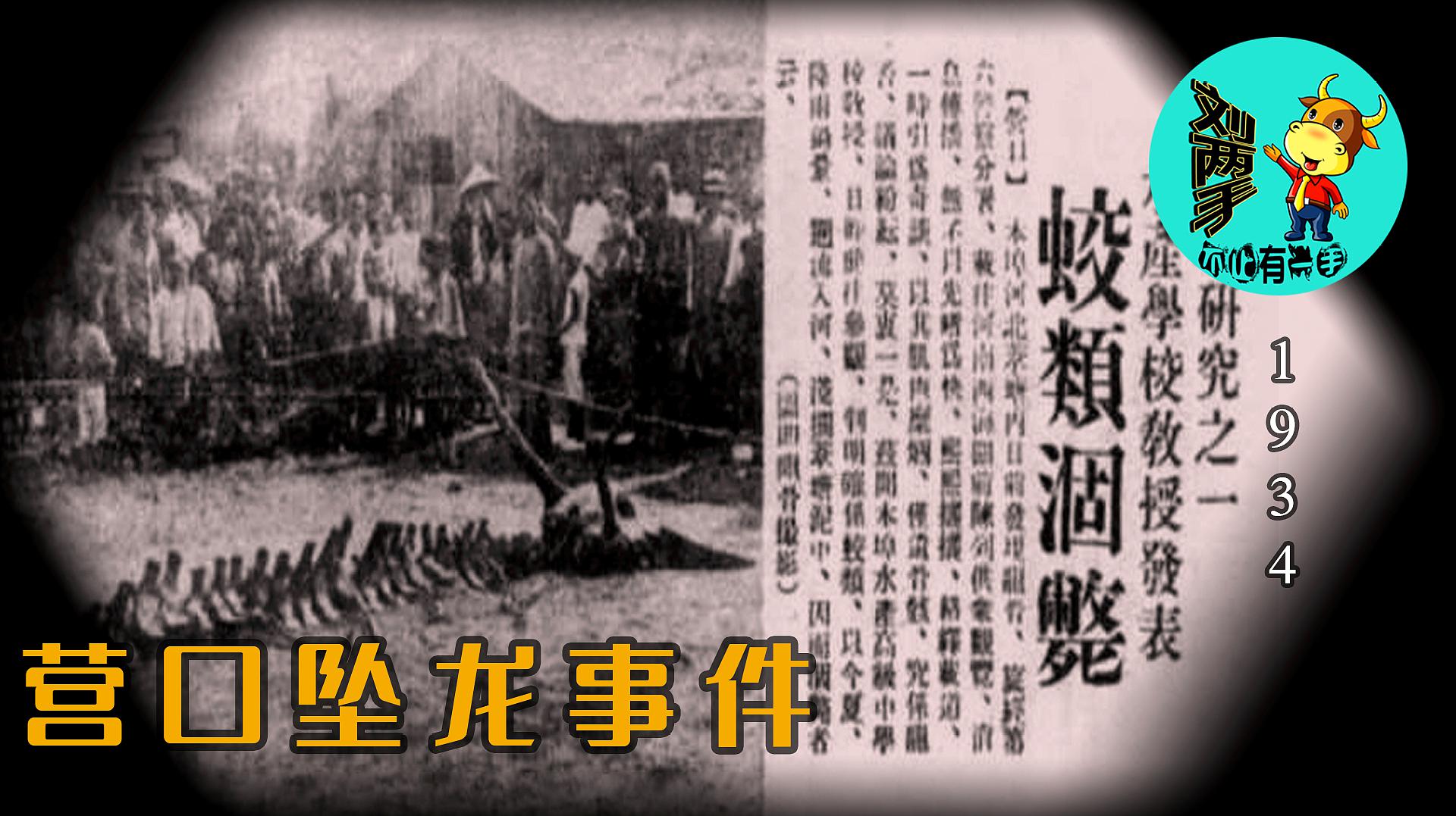 龙语_语龙的寓意_语龙茶叶