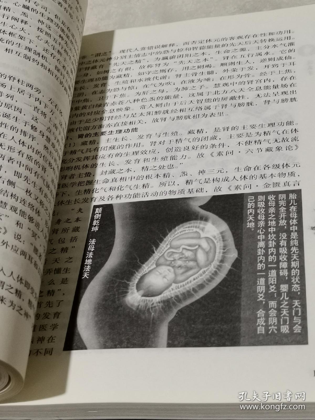 岛生命之泉_生命之岛2_生命线有岛纹