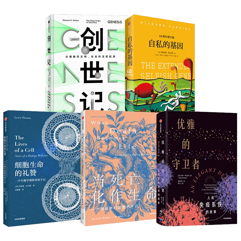 生命线有岛纹_生命之岛2_岛生命之泉
