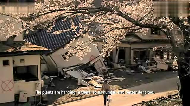 樱花影视在线_赌神5在线国语高清影视_生死狙击在线高清影视