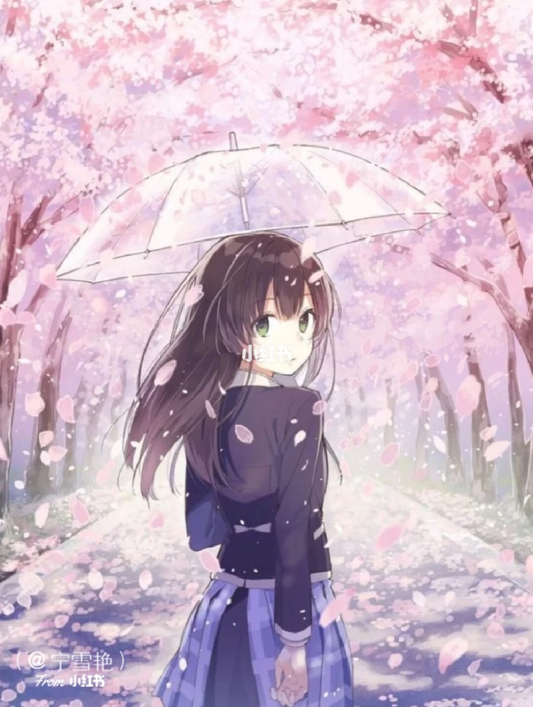 动漫迷的福音，樱花动漫一站式服务app