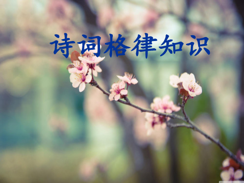 律诗校验工具下载_搜韵网律诗校验_律诗校验下载