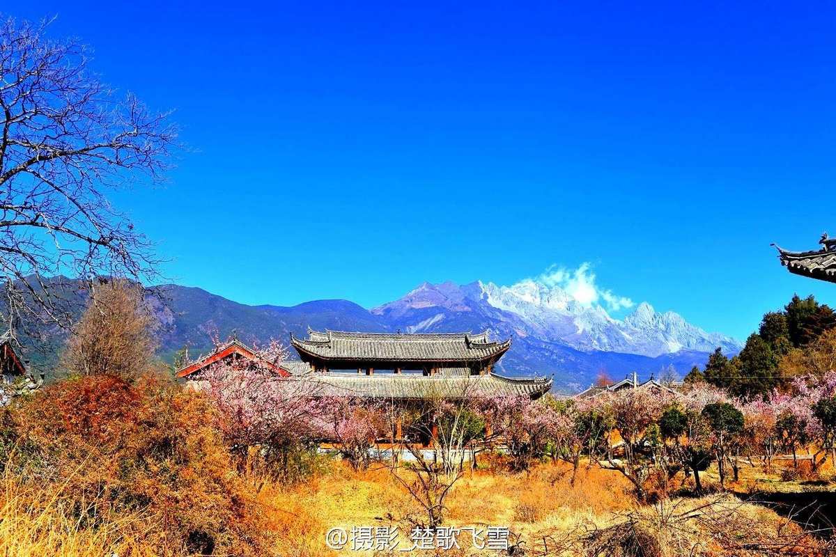 方舟生存进化仙境_方舟生存进化仙境有什么物种_方舟进化仙境