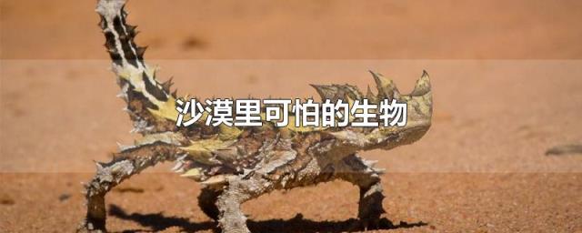 旅者的冒险_冒险者之旅_旅行者的冒险