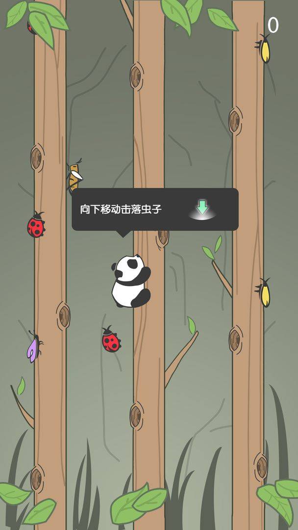 熊猫进化顽皮图片_玩皮熊猫进化_顽皮熊猫进化