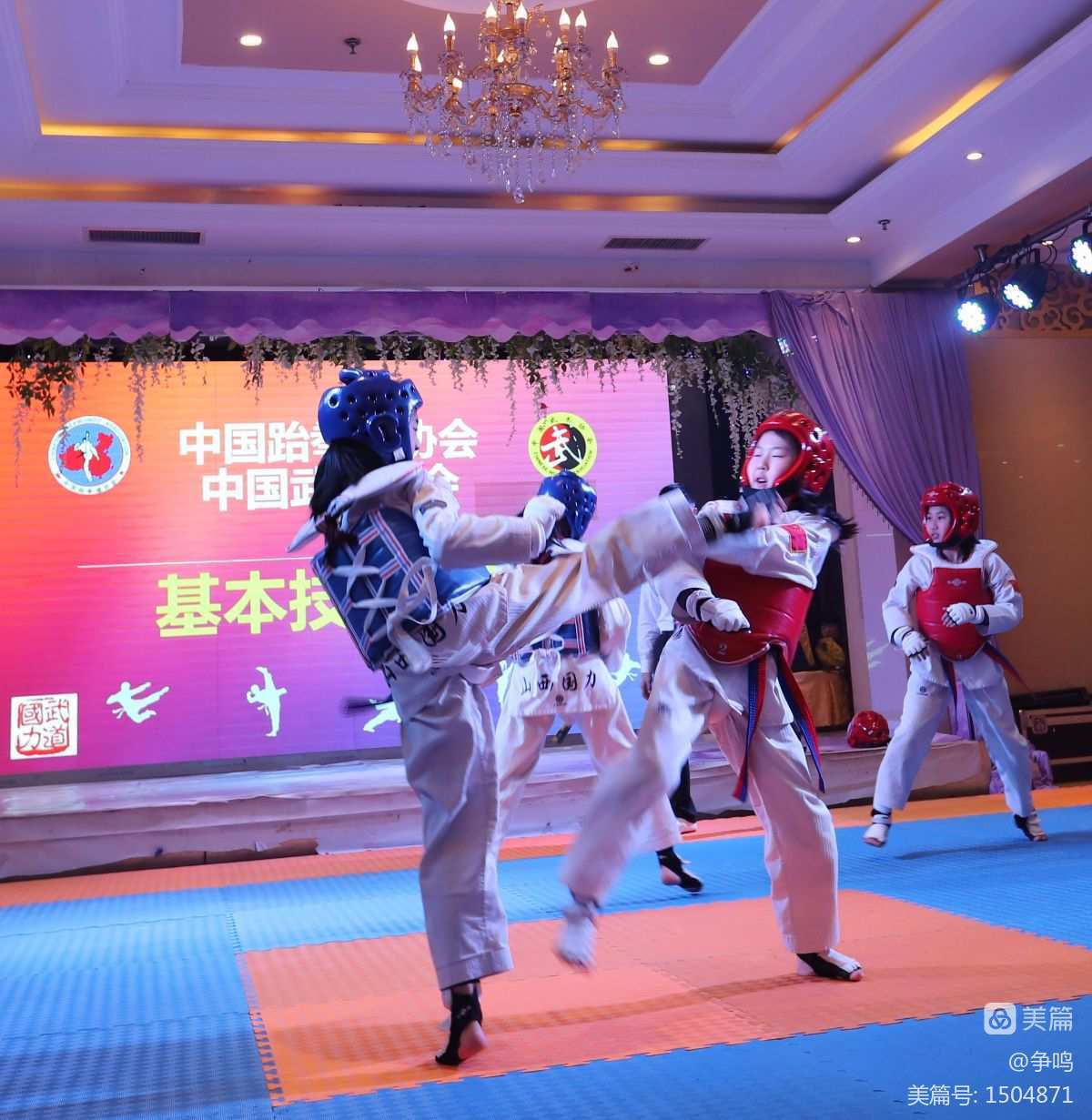 跆拳道游戏手机版_跆拳道游戏怎么输名字_跆拳道游戏