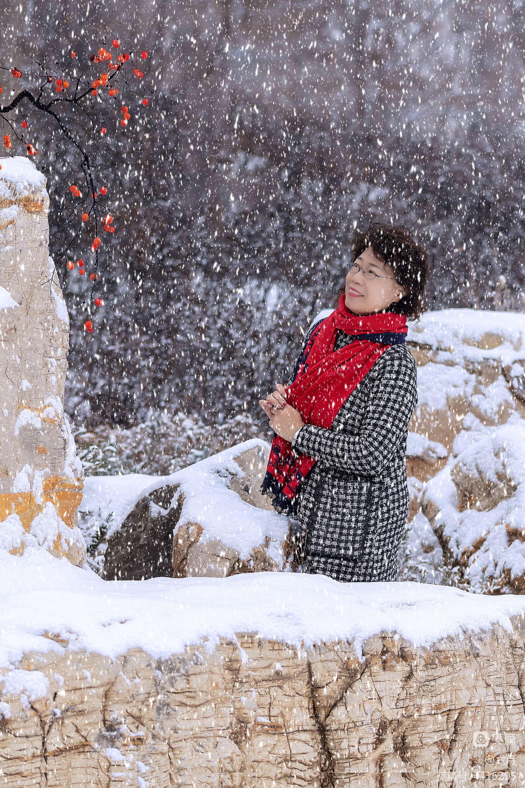 玲珑雪是什么意思_玲珑雪霏_雪玲珑