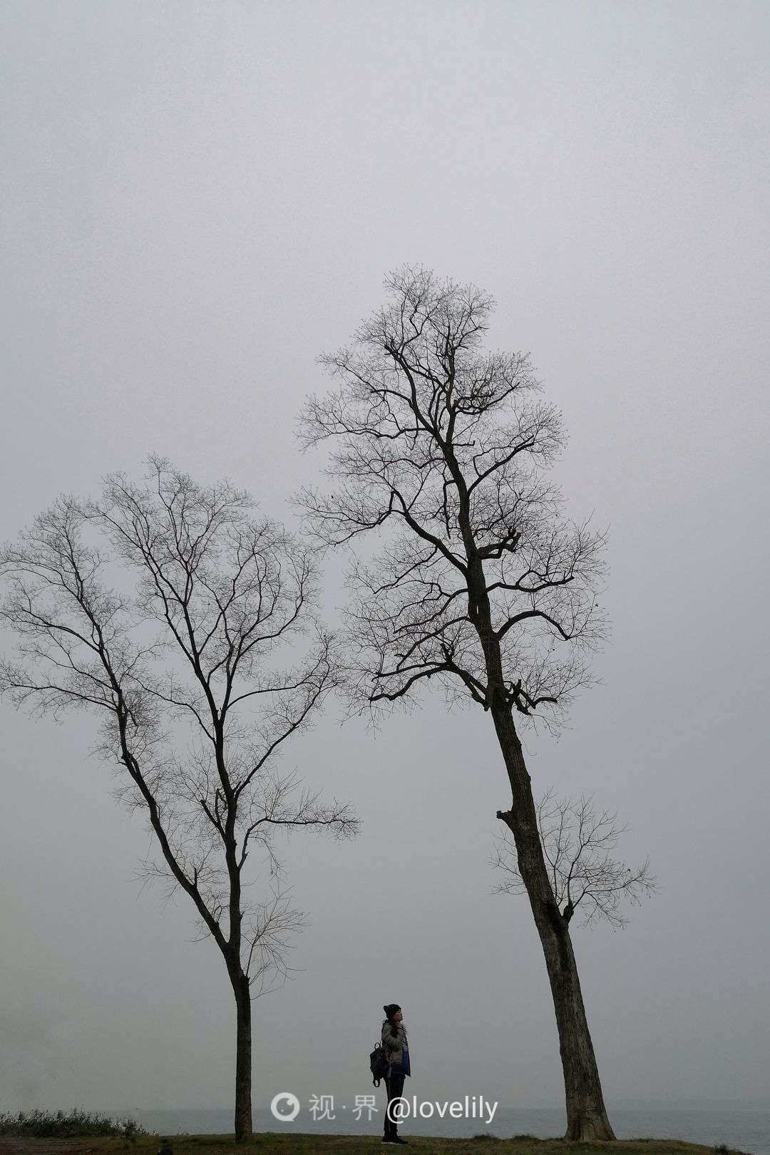 时间停止的岛屿_停止岛屿第0天卡关_停止岛屿第一天卡关视频