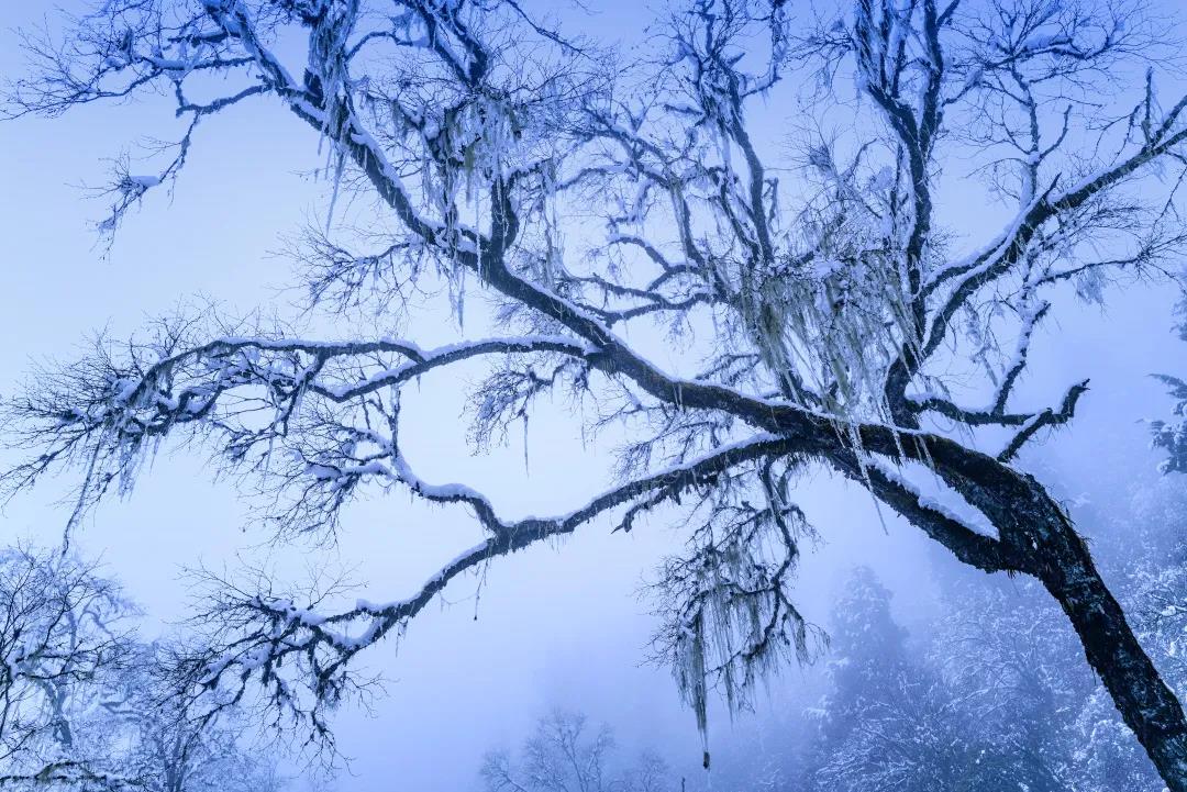 时间停止的岛屿_停止岛屿第一天卡关视频_停止岛屿第0天卡关