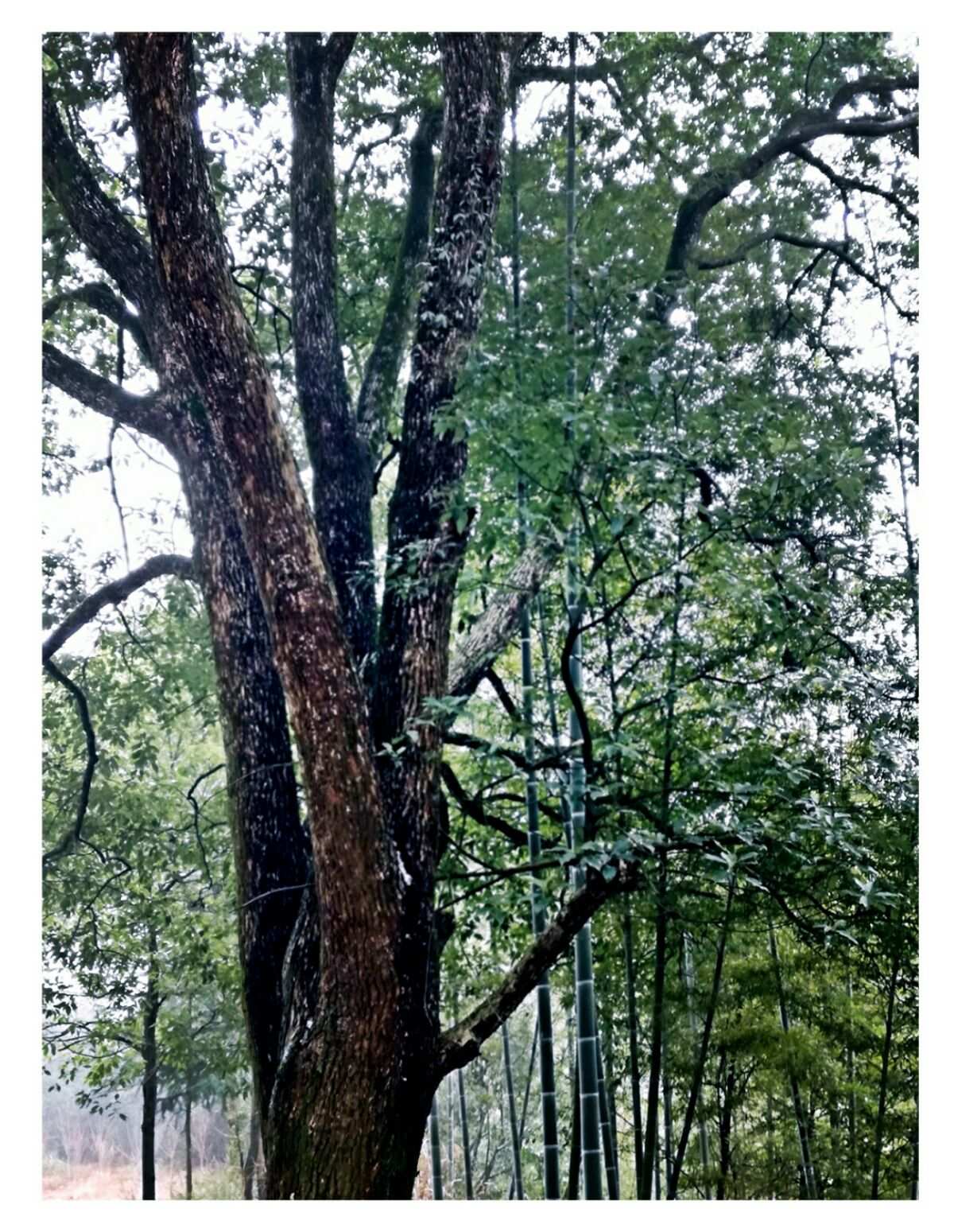 时间停止的岛屿_停止岛屿第一天卡关视频_停止岛屿第0天卡关