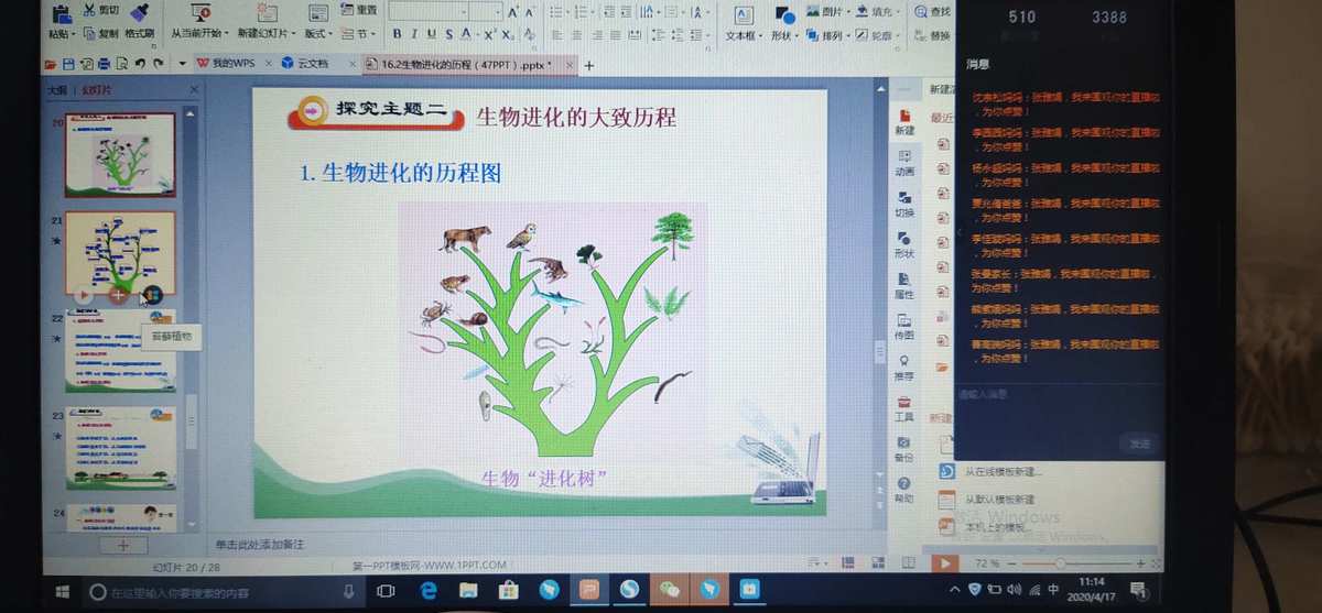 纽拉进化玛狃拉_纽拉怎么进化_口袋妖怪纽拉进化是啥