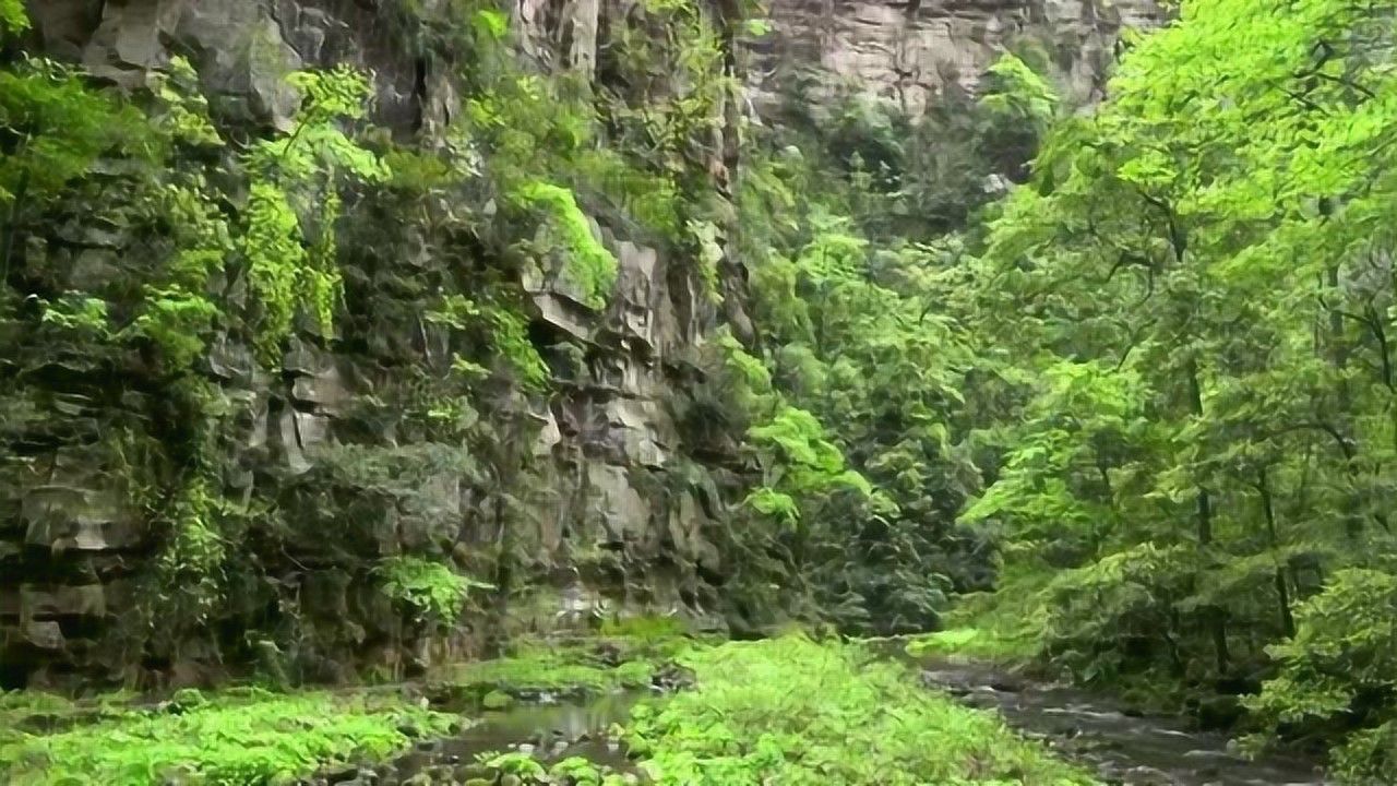 劳桑托原型_桑托劳_劳桑托全新涂装