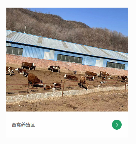 牛马动物交配视频_梗牛马是什么意思_牛马什么梗