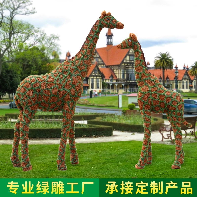 发现动物公园的动物有哪些_发现动物公园动物出现条件_发现动物公园