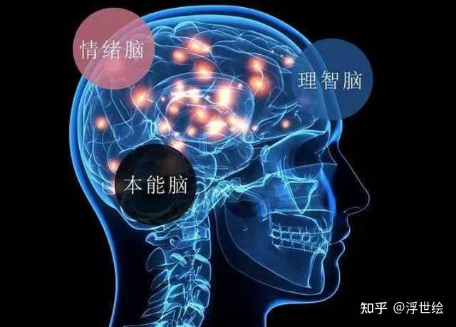 魔心渡_魔心和高级魔心差多少_魔之心