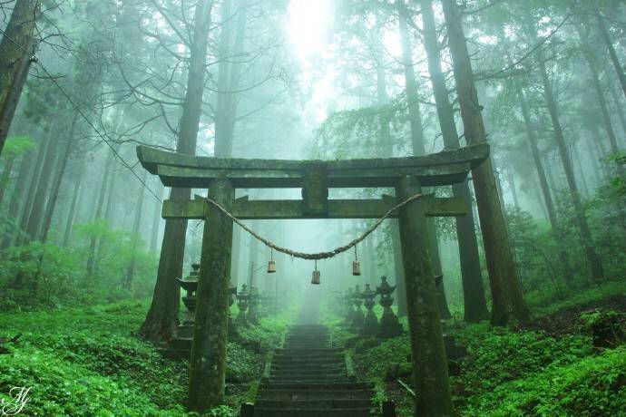 绀田村东北方的荒废神社_原神田村东北方荒废神社在哪里_田村东北的荒废神社