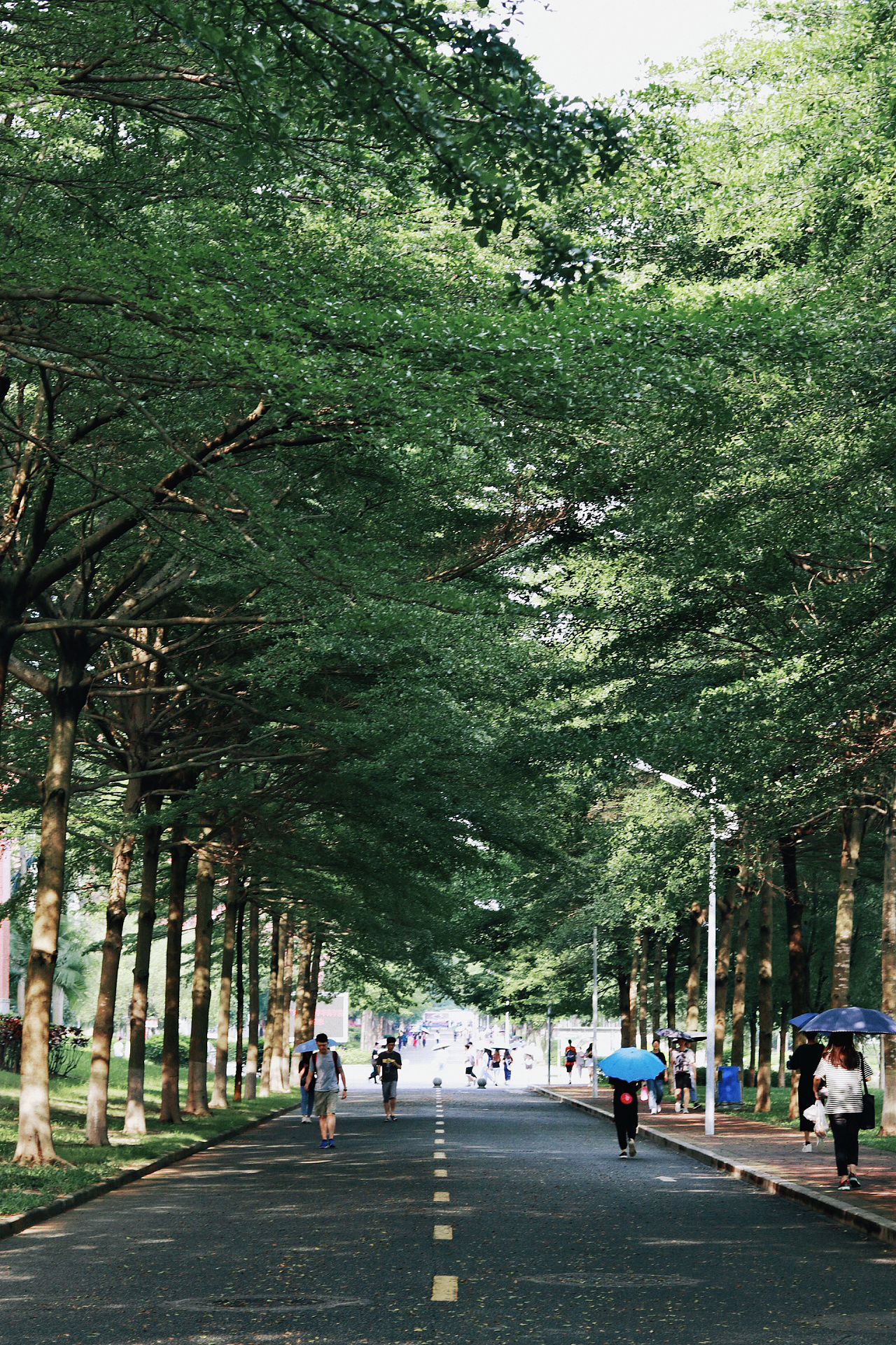 歌曲心跳回忆_心跳回忆歌词_心跳回忆4