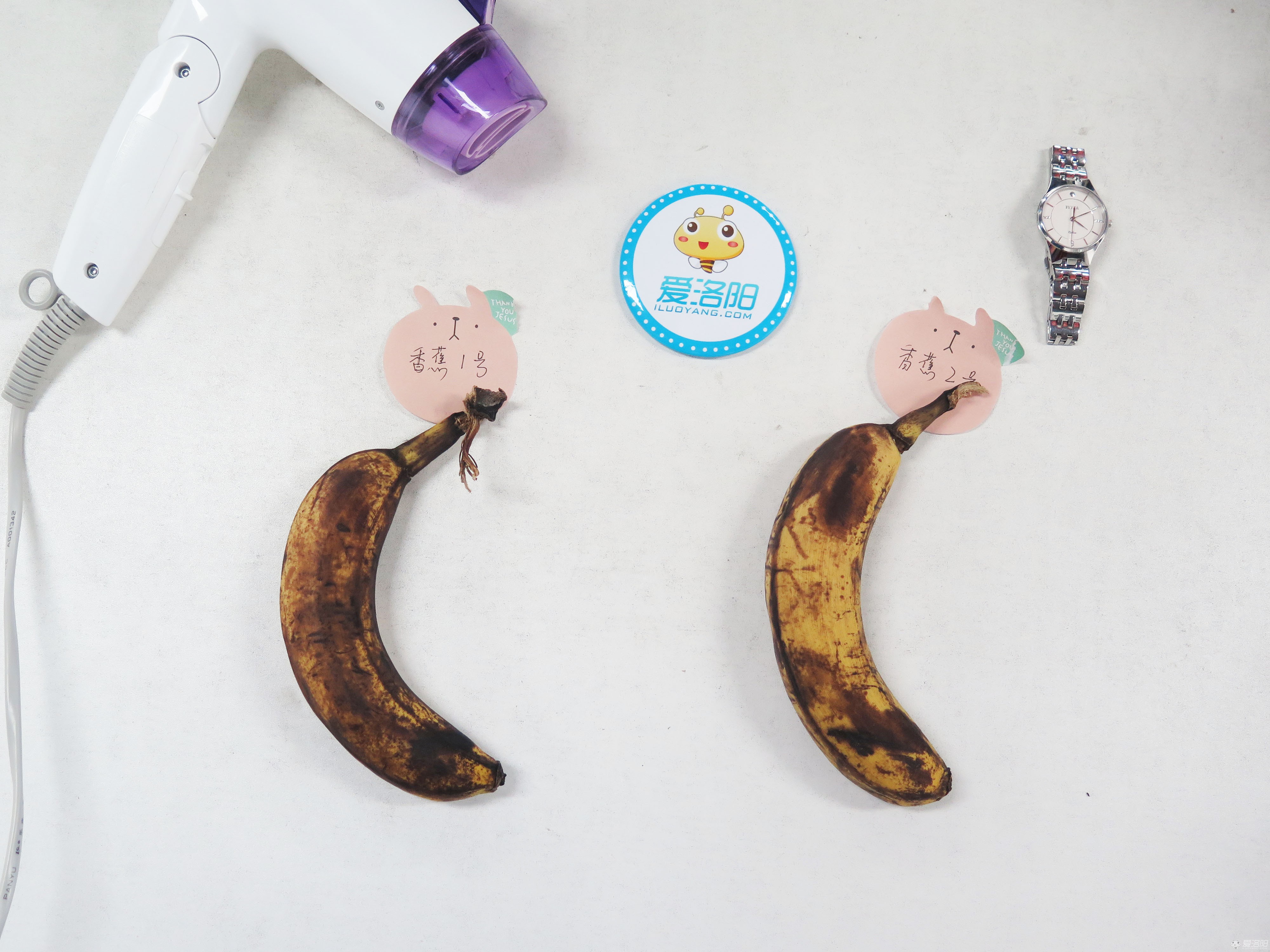 香蕉大视频在线播放持久_香蕉大视频在线播放持久_香蕉大视频在线播放持久