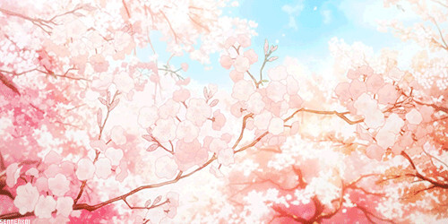 动漫樱花_动漫樱花_动漫樱花