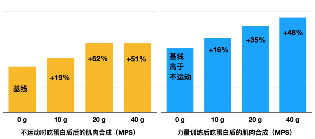 筋肉强打_强排式热水器打不着火_火强宝珠打武器上有哪些