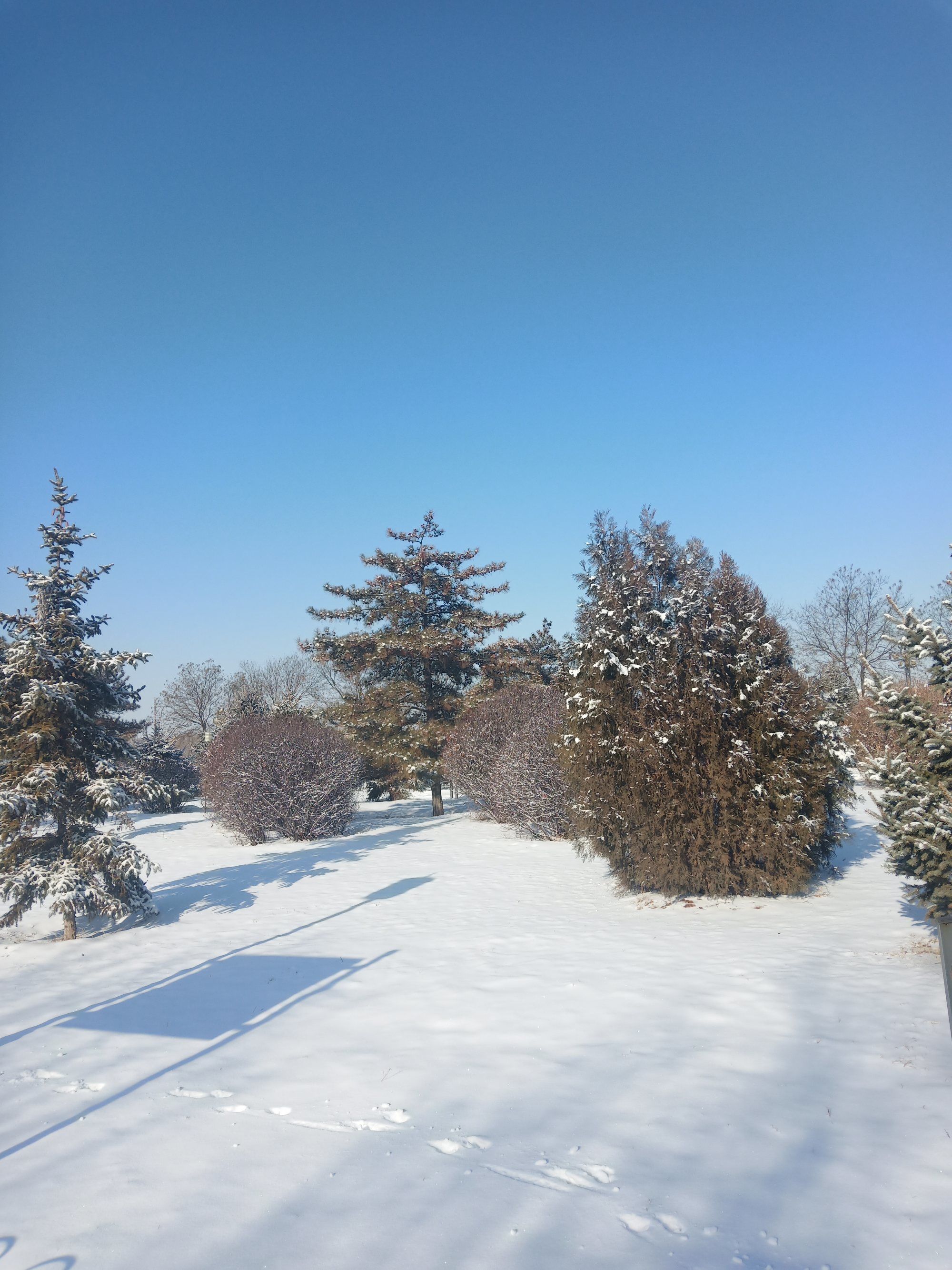 火雪泰剧剧集_雪与火_火麟飞最强者雪皇冥王