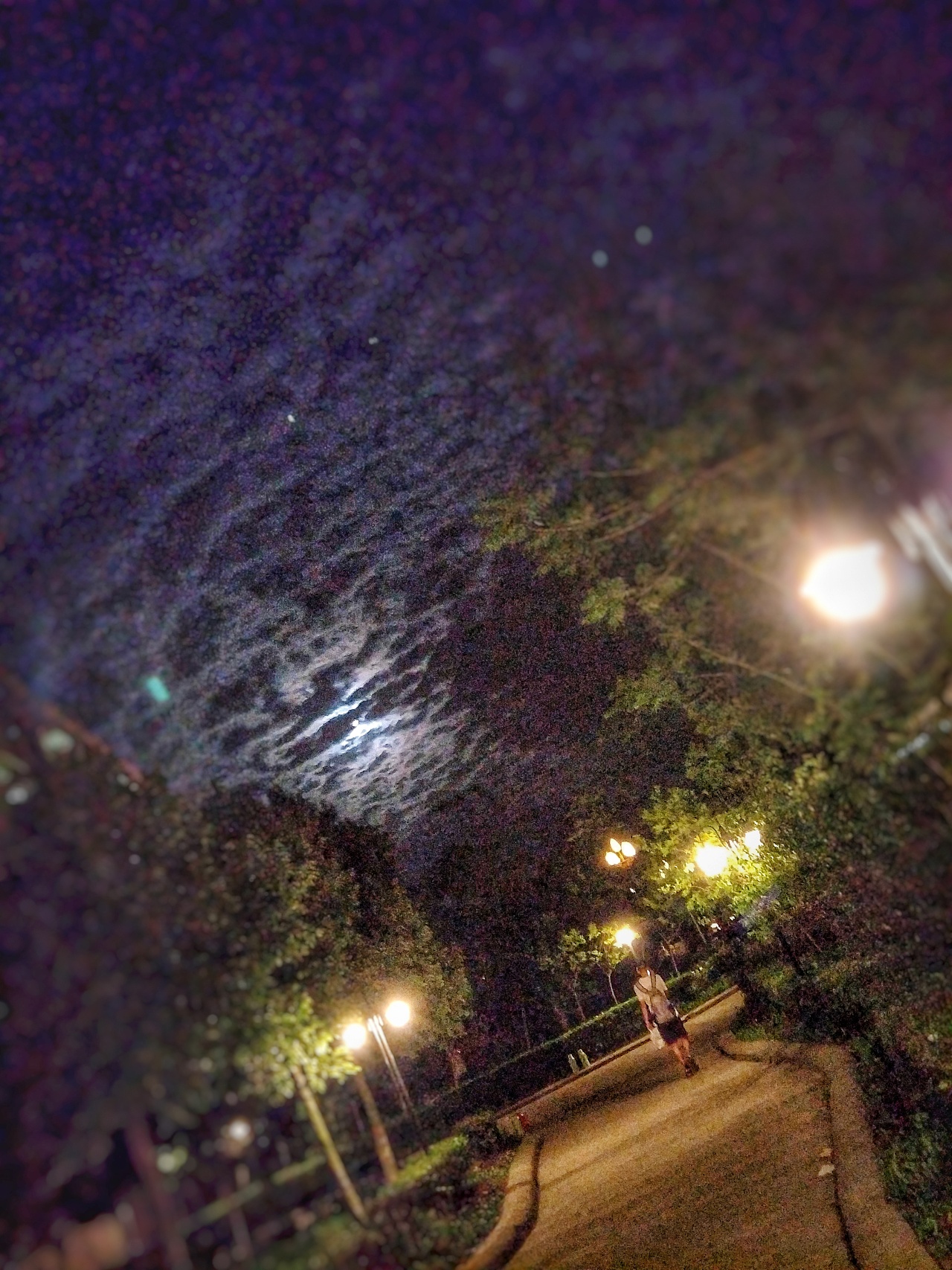 露遇辰安老公夜敲门txt_夜遇_迷夜惨遇