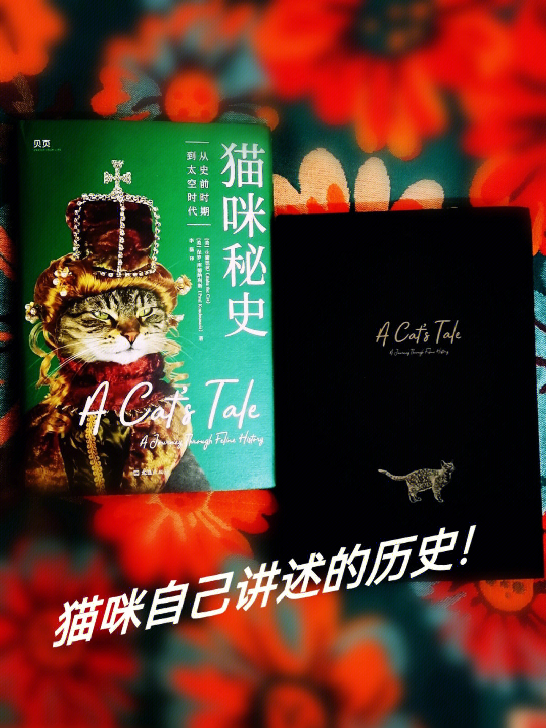 日一下网站最新网站_最新猥琐猫表情包_快猫最新网站