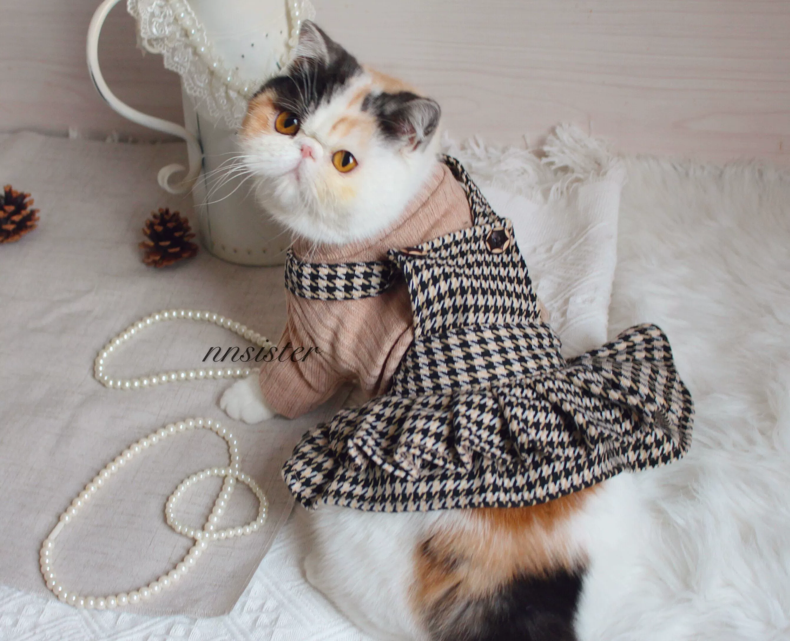 猫利欧_猫利欧_猫利欧