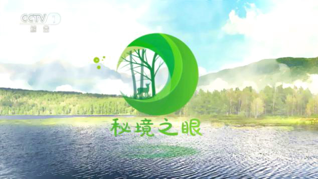 移动端app广告_移动广告平台_移动应用广告平台
