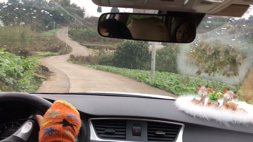 道路司机手机游戏软件_司机驾驶游戏_司机游戏合集