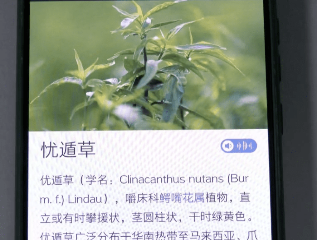 拔根 手机游戏_拔根是什么游戏_拔根游戏图片